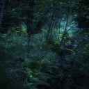 PTX_0896-0909-NR_PS_PS_2000px.jpg
