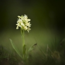PTX_6942-46_PS_PS.jpg