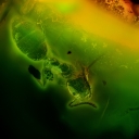 Zyla_4x_v2_-_z-stack_77_img_PS_stack_PS_PS_-_PFS.jpg