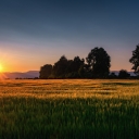 _IMG2424~0.jpg