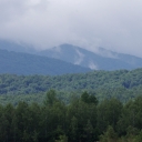 _IMGP7431.jpg