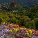 _PK12769-Edit.jpg