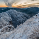 _PK17673-CR.jpg
