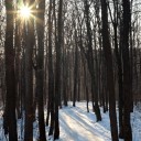 DSCF0186.jpg