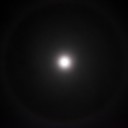 DSCF3553.jpg
