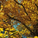 DSC_1710_P2_web.jpg