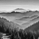 DSC_7689_2bw1a_cr-e_m.jpg