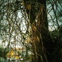 IMGP0429.JPG