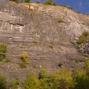 IMGP1796m.jpg