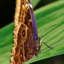 IMGP2068-Edit.jpg