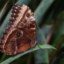 IMGP2073-Edit.jpg