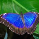 IMGP2079-Edit.jpg
