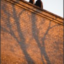 IMGP3146~0.jpg