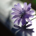 IMGP4672.JPG