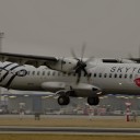 IMGP9105.JPG