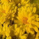 MX1_0090.jpg