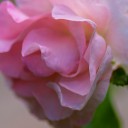_DSC0323_1ku1.jpg