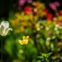 _DSC3564w.jpg