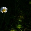 _IGP0057_web.jpg