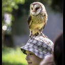 _IGP2192-Edit.jpg