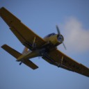 _IGP3956.JPG