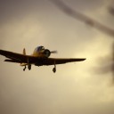 _IGP4100.JPG