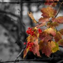 _IGP6374-2.jpg