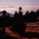 _IGP8640.jpg