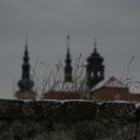Název souboru=_IGP9314~0.JPG
Velikost souboru=354KB
Rozměry=2048x1367
Datum přidání=20. Únor 2018 _IGP9314~0.JPG