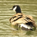 _LM_0796.jpg