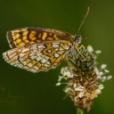 ephoto-30.jpg