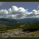 img_0002m.jpg