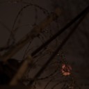 pentaxsraz-7.jpg