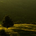 Název souboru=untitled-55.JPG
Velikost souboru=439KB
Rozměry=1280x720
Datum přidání=24. Leden 2015 untitled-55.JPG